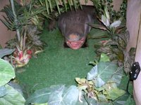 photos 2000-200902279
